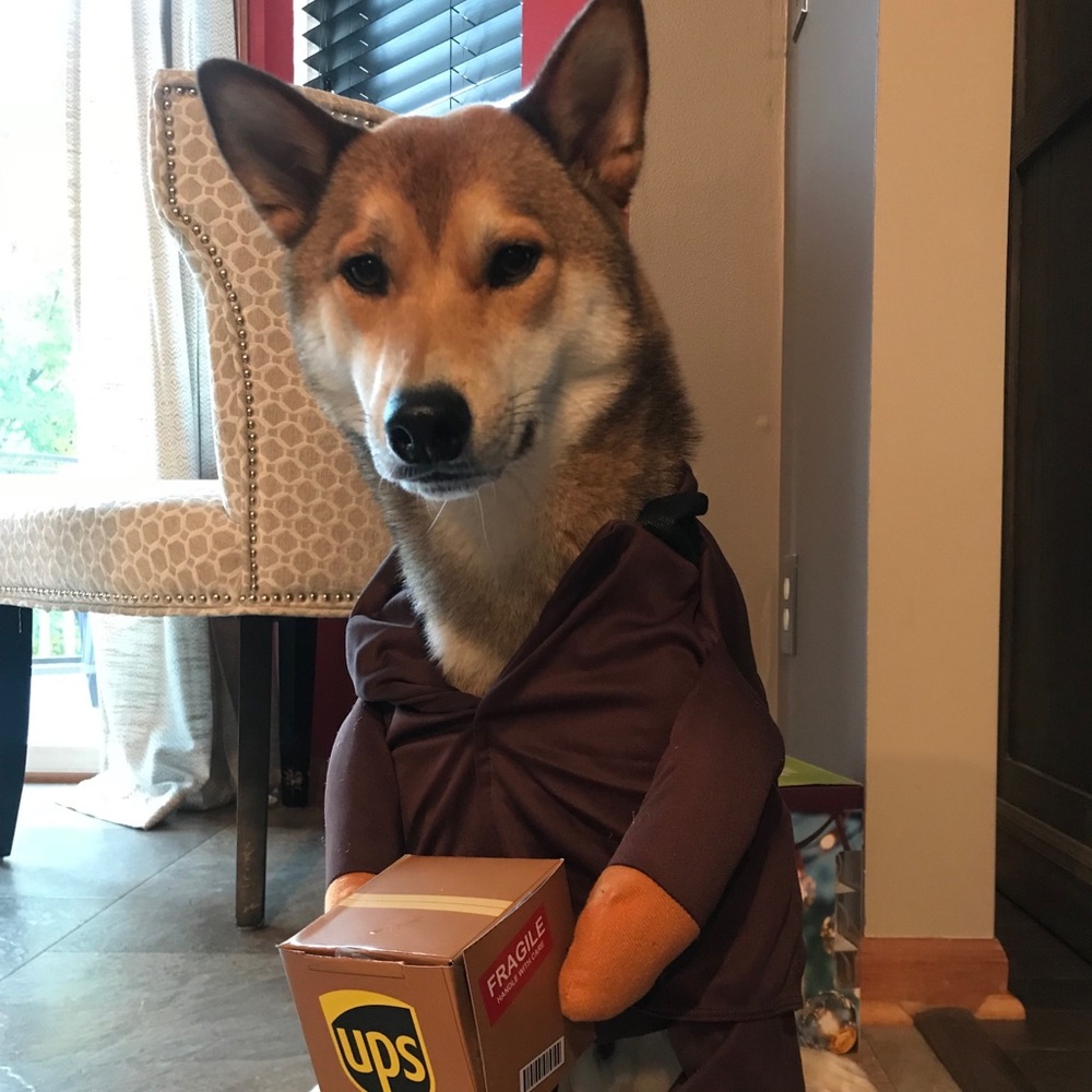 Meet your Posher, Matthew